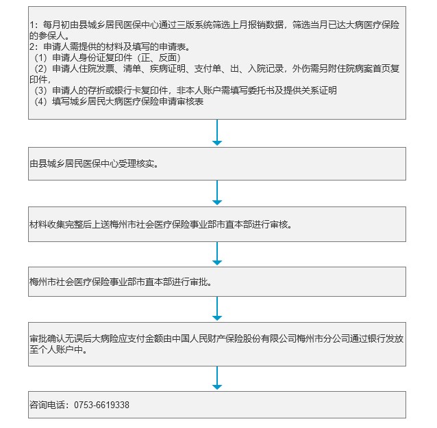 大病保险办理流程.jpg