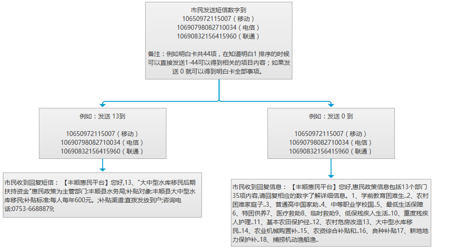 丰顺明白卡查询.png